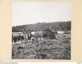 MUSCHU ISLAND, NEW GUINEA, 1945-09-09. OFFICERS OF AUSTRALIAN NEW GUINEA ADMINISTRATIVE UNIT, ATTACHED 6 DIVISION, IN DISCUSSION WITH THE FORMER JAPANESE NATIVE OVERSEER, INO, PRIOR TO ADDRESSING A ..