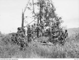 WEWAK AREA, NEW GUINEA, 1945-05-10. MEMBERS OF D COMPANY, 2/4 INFANTRY BATTALION, THE FIRST TROOPS INTO WEWAK, HOIST THE COMPANY FLAG. THIS FLAG WAS CARRIED THROUGH THE 1914 TO 1918 WAR BY 4 ..