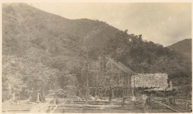 A miners' bush hut in the course of erection, Lower Watut [River, Central New Guinea], October 1936