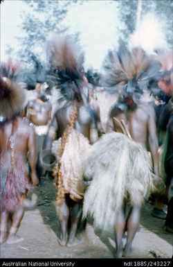 Dancers in ceremonial dress