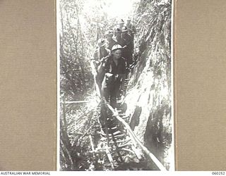 FARIA RIVER AREA, NEW GUINEA. 1943-11-07. A FIGHTING PATROL OF C COMPANY, 2/27TH AUSTRALIAN INFANTRY BATTALION MOVING ALONG A MAKESHIFT BRIDGE ON SHAGGY RIDGE WHILE THE ARTILLERY SHELL THE JAPANESE ..