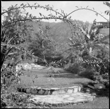 Curved stone steps in Chinnery's garden, Malaguna Road, Rabaul, New Guinea, ca. 1936 / Sarah Chinnery