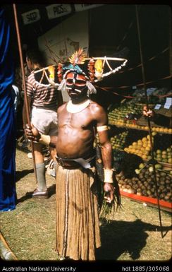 Wig man from Porgani, Goroka Show