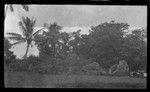 Rocks on landscape, possible shrine