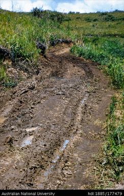 Rintebe Road - 5 miles from turn off