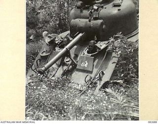 MADANG, NEW GUINEA. 1944-10-12. A SHERMAN M4A2 MEDIUM TANK MOVING INTO A CREEK CROSSING DURING TESTS CONDUCTED AT HQ 4 ARMOURED BRIGADE