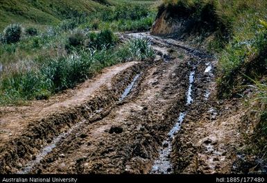 Rintebe Road - 5 1/2 miles from turn off