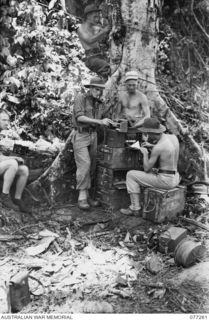 BOUGAINVILLE. 1944-11-24. AUSTRALIAN SIGNALLERS TAKING OVER THE COMMUNICATION CHANNELS FROM AMERICAN SIGNALLERS DURING THE TAKE OVER OF THE FRONT LINE POSITIONS FROM THE 2ND BATTALION, 132ND ..