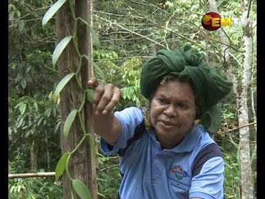 Vanilla In Western Province