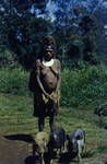 Tari woman coming to station with pigs, [Papua New Guinea], 1954