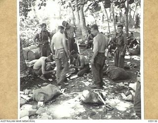SCARLET BEACH, NEW GUINEA, 1943-10-25. MEMBERS OF THE 2/27TH AUSTRALIAN INFANTRY BATTALION SORTING MAIL, COMPRISING PAPERS AND PARCELS, ON THE SIDE OF THE ROAD, WHICH RUNS THROUGH HOLDSBACK ..