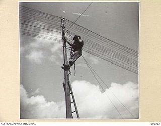 CAPE WOM, WEWAK AREA, NEW GUINEA, 1945-08-14. CORPORAL E.W. BROOKS, A LINESMAN OF 6TH DIVISION SIGNALS, MAINTAINING MAIN TRUNK ROUTE FROM THE DIVISIONAL HEADQUARTERS. THE LINES ARE SUSPENDED FROM ..