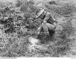 FINSCHHAFEN AREA, NEW GUINEA. 1944-04-09. QX44130 CAPTAIN J.L. GROOM, COMMANDING OFFICER 15TH MALARIA CONTROL UNIT (1), AT WAREO EXAMINING A SHALLOW SUNLIT POOL BESIDE A NATIVE TRACK, A POTENTIAL ..