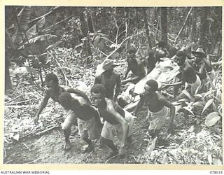 BOUGAINVILLE ISLAND. 1944-12-31. NATIVE STRETCHER BEARERS CARRYING Q136290 PRIVATE H.T. PALMER C COMPANY, 25TH INFANTRY BATTALION DOWN THE ARTILLERY HILL TRACK DURING THE AUSTRALIAN ATTACK ON ..