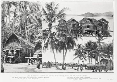 Life In Tropical British New Guinea: Some Quaint Homes of the Papuan Natives