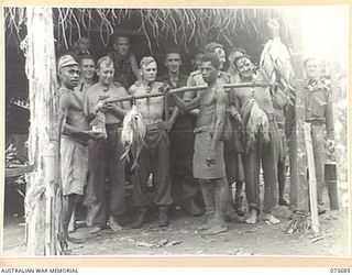 SARANG HARBOUR, NEW GUINEA. 1944-05-31. NATIVES WITH A CATCH OF FISH AT THE 8TH INFANTRY BRIGADE SIGNAL SECTION. TROOPS, BY TRADING WITH THE NATIVES, SUPPLEMENT THEIR DIET WITH FRESH VEGETABLES, ..