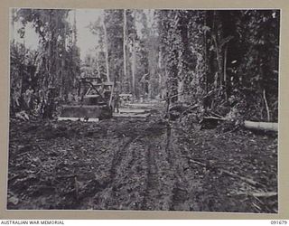 SORAKEN AREA, BOUGAINVILLE. 1945-05-04. A BULLDOZER AT WORK LEVELLING THE OLD TRACK WHICH IS BEING USED DURING THE CONSTRUCTION OF THE EAST WEST TRAIL BY 16 FIELD COMPANY, ROYAL AUSTRALIAN ..