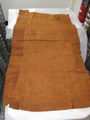 cloth