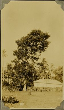 Theological College? at Malua, near Apia?, Samoa, 1928