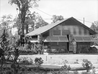 TOROKINA, BOUGAINVILLE, 1945-06-21. MAJ A.G. ROWELL, DENTAL OFFICER, AT THE ENTRANCE TO THE DENTAL POST, DEPUTY ASSISTANT DIRECTOR OF DENTAL SERVICES, HQ 4 BASE SUB AREA