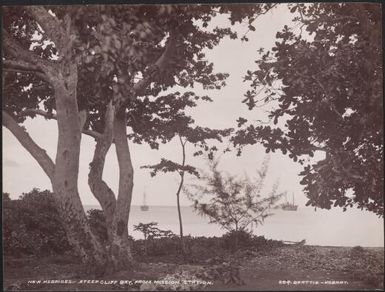 Steep Cliff Bay viewed from mission station, Raga, New Hebrides, 1906 / J.W. Beattie