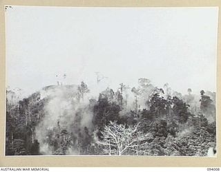 WEWAK AREA, NEW GUINEA, 1945-07-14. 2/1 FIELD REGIMENT AND 2/3 FIELD REGIMENT, FIRED 4,500 25-POUNDER SHELLS OVER A PERIOD OF 45 MINUTES. THIS WAS FOLLOWED BY 350 3-INCH MORTAR BOMBS AND 500 ROUNDS ..