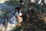 In the lotokie 'lit. within fine pandanus (Freycinetia)' 23-12-69.