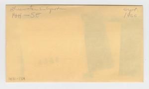 [Shearwater in Cynodont in Hawaii, envelope IE31-134]