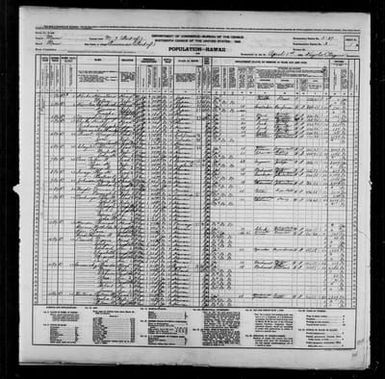 1940 Census Population Schedules - Hawaii - Maui County - ED 5-37
