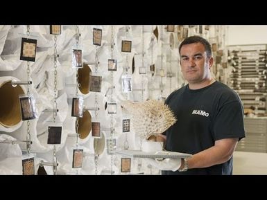 Puffer Fish Helmet - Tales from Te Papa episode 8