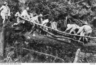 BULLDOG ROAD, NEW GUINEA. 1943-07-19. NATIVES CARRYING HUGE COMPRESSOR FRAME ACROSS A LOG BRIDGE AT ECCLESTONE GAP