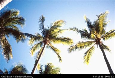 Muri Beach, Rarotonga