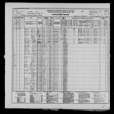 1940 Census Population Schedules - Hawaii - Honolulu County - ED 2-45