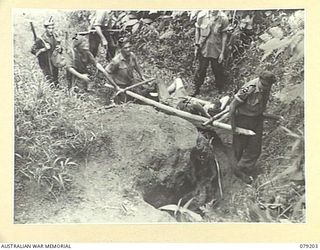 BOUGAINVILLE ISLAND. 1945-02-17. TROOPS OF D COMPANY, 9TH INFANTRY BATTALION BRINGING IN A CASUALTY QX44702 PRIVATE P.W. CAFFERY (4) WHO WAS SHOT IN THE LEG DURING A CLASH WITH THE ENEMY SOUTH OF ..