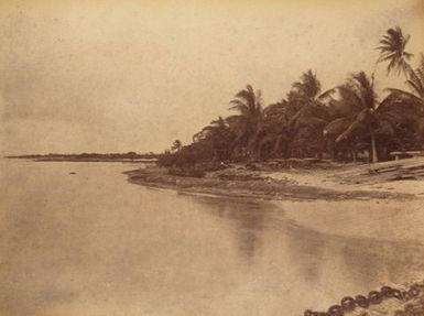 Beach Suwarrow inside lagoon. From the album: Views in the Pacific Islands