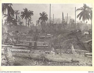 SUAIN PLANTATION, NEW GUINEA. 1944-12-08. A COMPANY, 2/4 INFANTRY BATTALION CAMP SITE. (JOINS NO.84207 AND 84209)