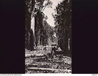 REINHOLD HIGHWAY, NEW GUINEA, 1943-09-04. ABANDONED TRAM LINE FROM BULLDOG TO GRIM POINT. THE LINE HAD TO BE ABANDONED OWING TO A SHORTAGE OF RAILS AND ROLLING STOCK