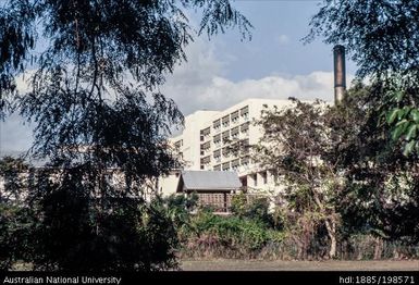 Fiji - several buildings behind trees and hedge