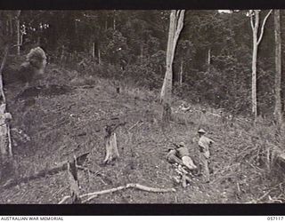 SOGERI VALLEY, NEW GUINEA. 1943-09-19. TEST OF THE PROJECTOR INFANTRY TANK ATTACK MARK 1 AT A RANGE OF 75 YARDS. NOTE BOMB EXPLODING ON STRIKING PILLBOX