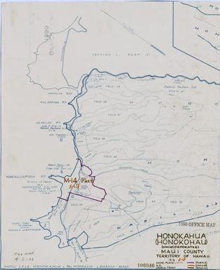 1950 Census Enumeration District Maps - Hawaii (HI) - Maui County - Honokahua - ED 5-9