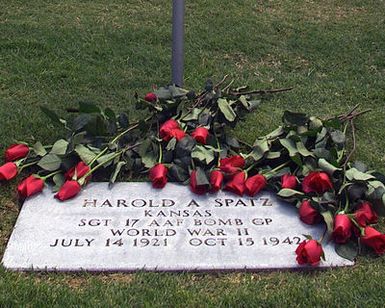 Close up of roses placed on the Grave marker for Sergeant (SGT), Harold A. Spatz, 17th Army Air Force, Bomb Group, who served during WW II. The Gravesite is located at the National Memorial Cemetery of the Pacific, Honolulu, Hawaii