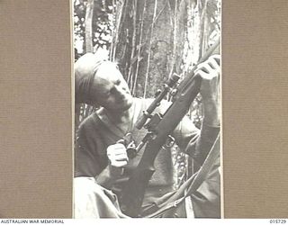 New Guinea. Goodview Junction. Private Clarry Elliott, of Dimboola, Vic, an AIF sniper at Goodview Junction examines the British made pattern 1918 telescopic sight mounted on his No 3 MK1*(T) .303 ..