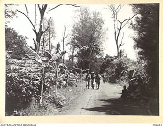 RABAUL, NEW BRITAIN. 1945-09-15. VIEW LOOKING DOWN THE DRIVE OF THE FORMER GOVERNMENT HOUSE AT RABAUL. FOLLOWING THE SURRENDER OF THE JAPANESE, HEADQUARTERS 11 DIVISION ESTABLISHED ITS HEADQUARTERS ..