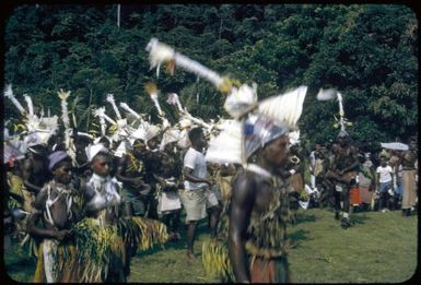Papua and New Guinea, 1955-1960 / Tom Meigan