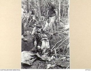 TOROKINA AREA, BOUGAINVILLE ISLAND. 1944-11-29. A DEAD JAPANESE SOLDIER, LYING OUTSIDE HIS DUGOUT, WHO WAS KILLED BY A HAND GRENADE DURING THE ATTACK ON LITTLE GEORGE HILL BY D COMPANY, 9TH ..