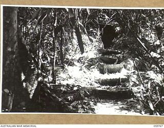 FINSCHHAFEN AREA, NEW GUINEA, 1943-10-25. ENTRANCE TO A JAPANESE DUGOUT ON THE MAPE RIVER ROAD