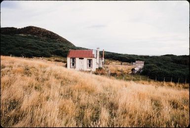 [White and brown corrugated iron cabin - Otago Peninsula]