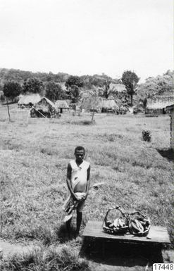 box, basket, woman, village, banana, photography, ph