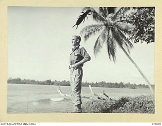 MILILAT, NEW GUINEA. 1944-08-06. VX206 LIEUTENANT-COLONEL E.R. WILMOTH, MC, GSO 1, HEADQUARTERS, 5TH DIVISION, ADMIRING THE SCENERY FROM A SMALL HEADLAND NEAR HIS CAMP