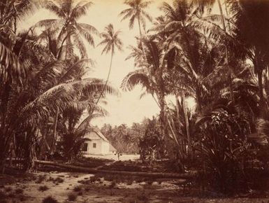Funafuti. From the album: Views in the Pacific Islands
